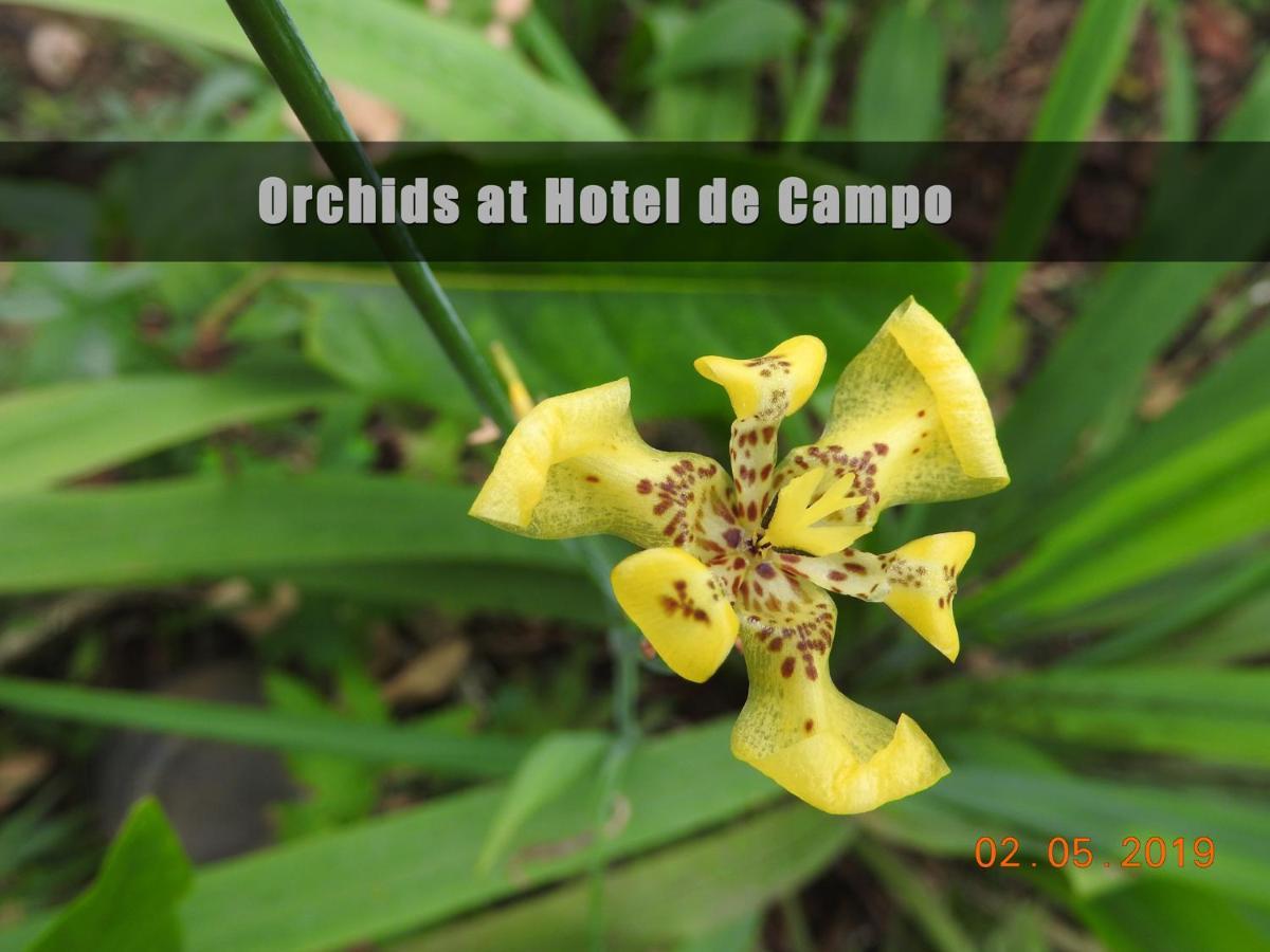 Hotel De Campo Caño Negro 外观 照片