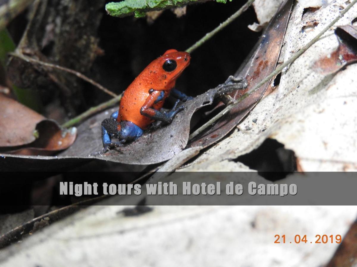 Hotel De Campo Caño Negro 外观 照片