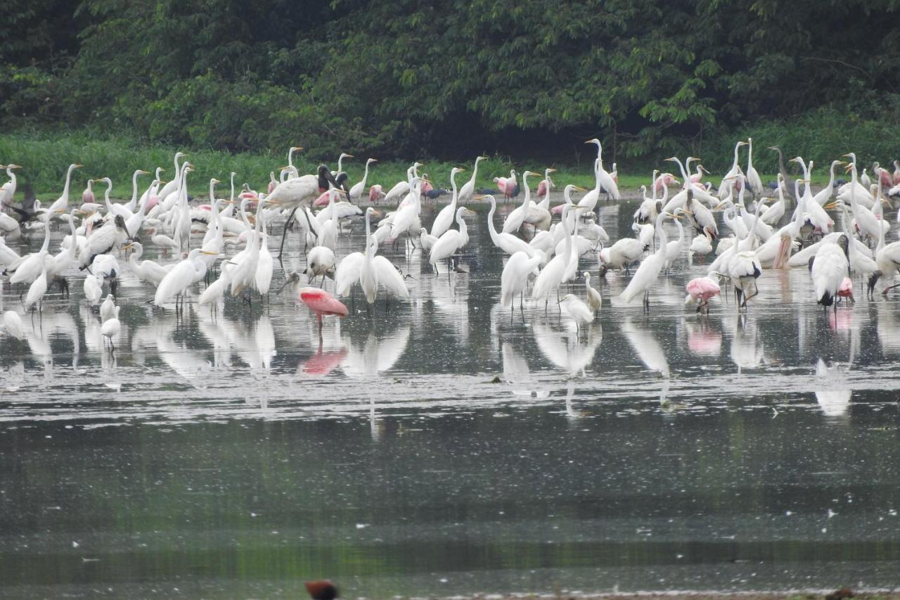 Hotel De Campo Caño Negro 外观 照片